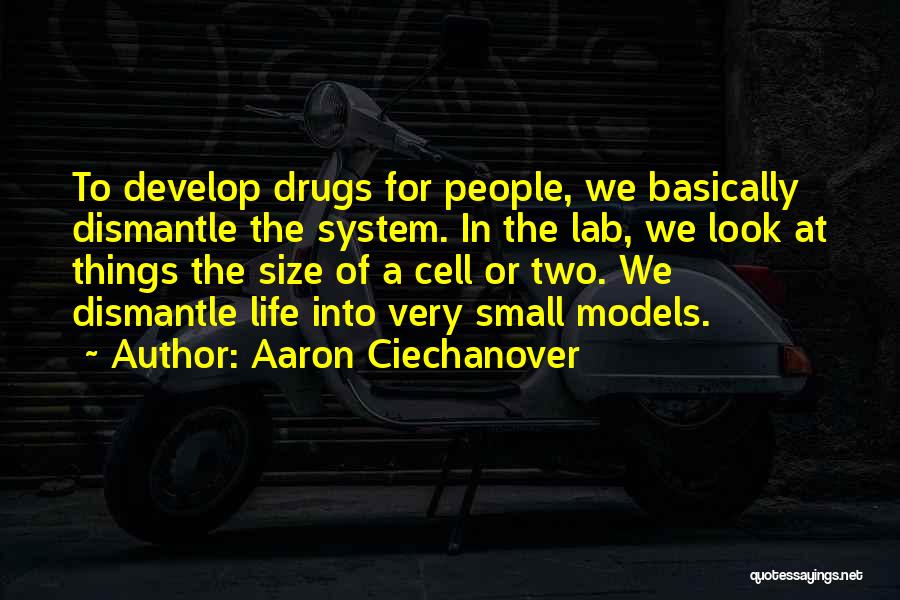 Aaron Ciechanover Quotes: To Develop Drugs For People, We Basically Dismantle The System. In The Lab, We Look At Things The Size Of