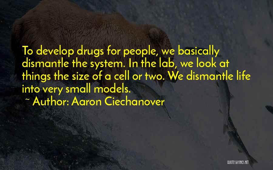 Aaron Ciechanover Quotes: To Develop Drugs For People, We Basically Dismantle The System. In The Lab, We Look At Things The Size Of