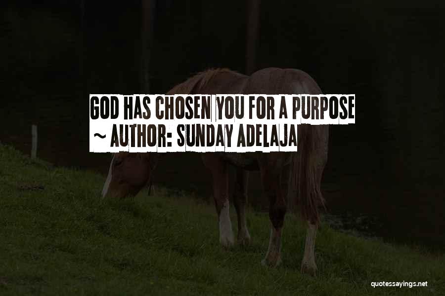 Sunday Adelaja Quotes: God Has Chosen You For A Purpose