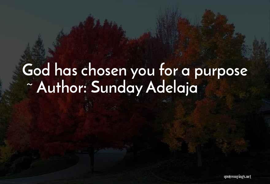 Sunday Adelaja Quotes: God Has Chosen You For A Purpose