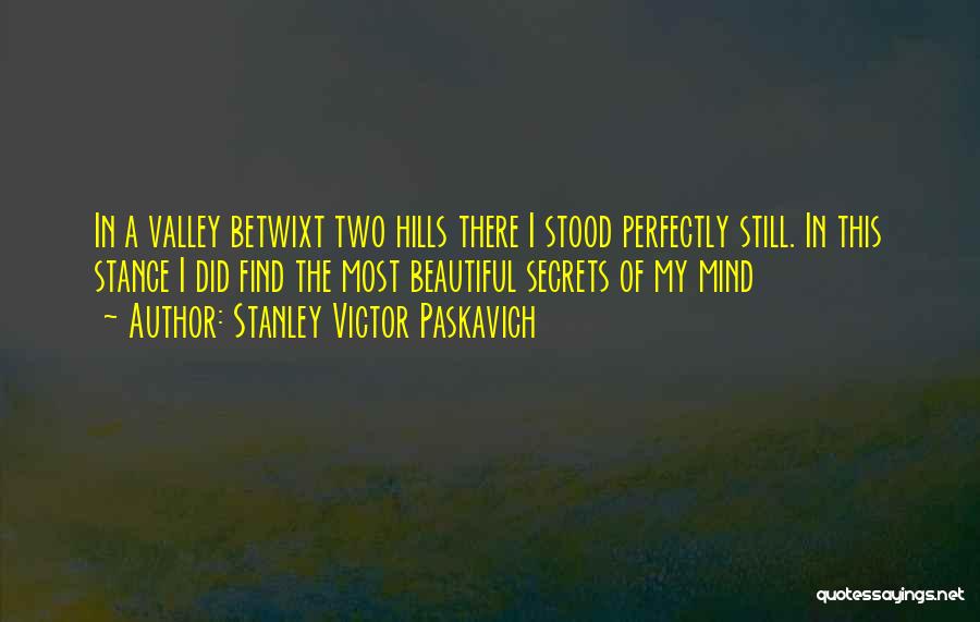 Stanley Victor Paskavich Quotes: In A Valley Betwixt Two Hills There I Stood Perfectly Still. In This Stance I Did Find The Most Beautiful