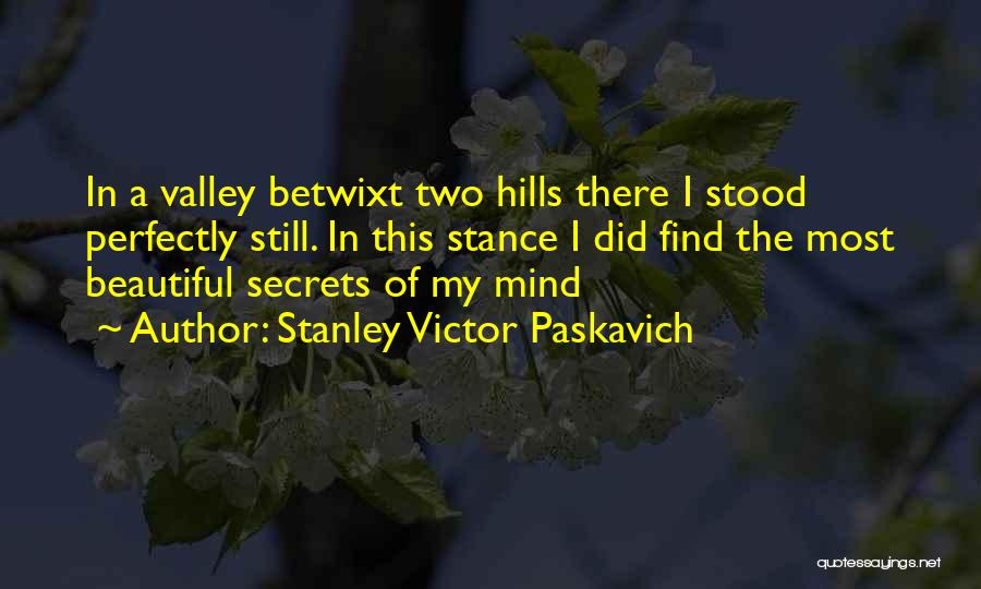 Stanley Victor Paskavich Quotes: In A Valley Betwixt Two Hills There I Stood Perfectly Still. In This Stance I Did Find The Most Beautiful