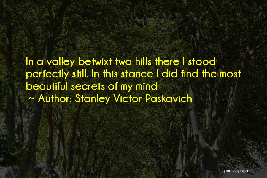 Stanley Victor Paskavich Quotes: In A Valley Betwixt Two Hills There I Stood Perfectly Still. In This Stance I Did Find The Most Beautiful
