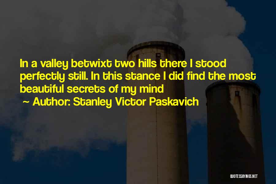 Stanley Victor Paskavich Quotes: In A Valley Betwixt Two Hills There I Stood Perfectly Still. In This Stance I Did Find The Most Beautiful