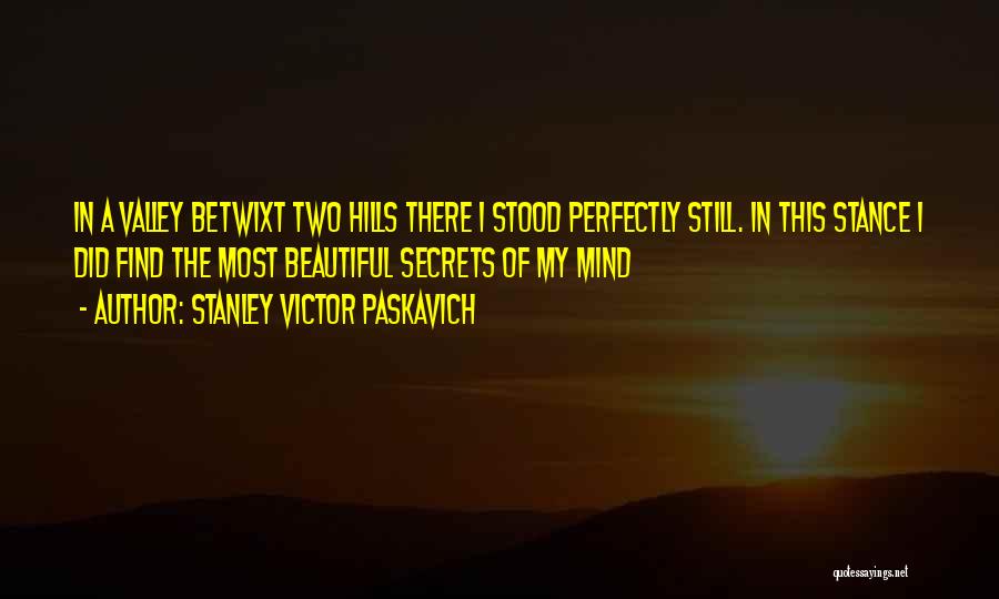 Stanley Victor Paskavich Quotes: In A Valley Betwixt Two Hills There I Stood Perfectly Still. In This Stance I Did Find The Most Beautiful