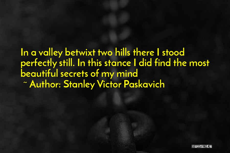 Stanley Victor Paskavich Quotes: In A Valley Betwixt Two Hills There I Stood Perfectly Still. In This Stance I Did Find The Most Beautiful