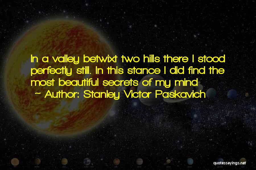 Stanley Victor Paskavich Quotes: In A Valley Betwixt Two Hills There I Stood Perfectly Still. In This Stance I Did Find The Most Beautiful