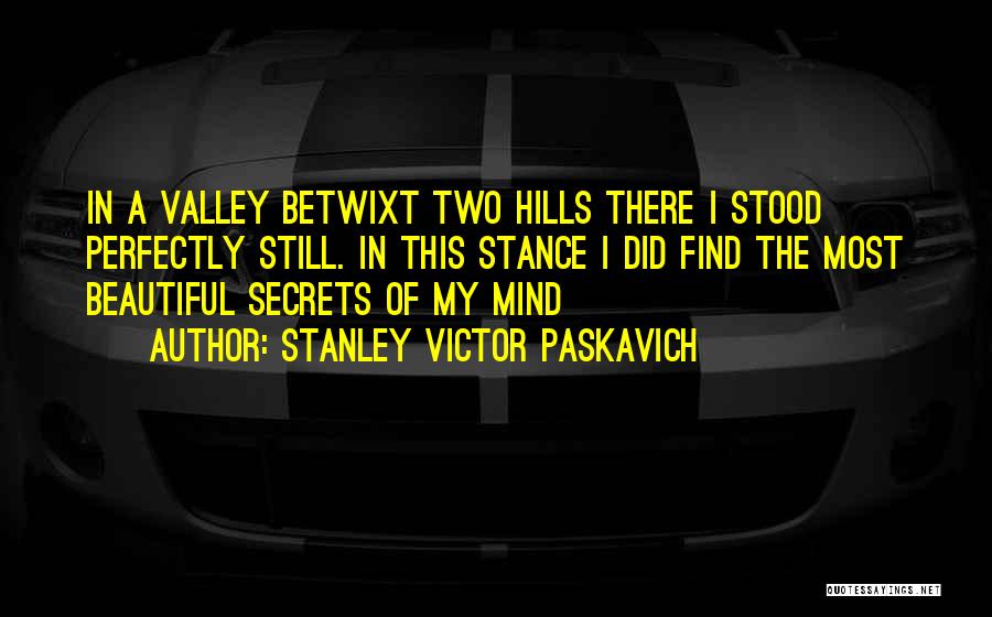 Stanley Victor Paskavich Quotes: In A Valley Betwixt Two Hills There I Stood Perfectly Still. In This Stance I Did Find The Most Beautiful