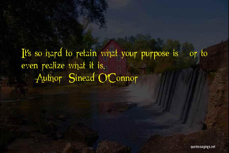 Sinead O'Connor Quotes: It's So Hard To Retain What Your Purpose Is - Or To Even Realize What It Is.