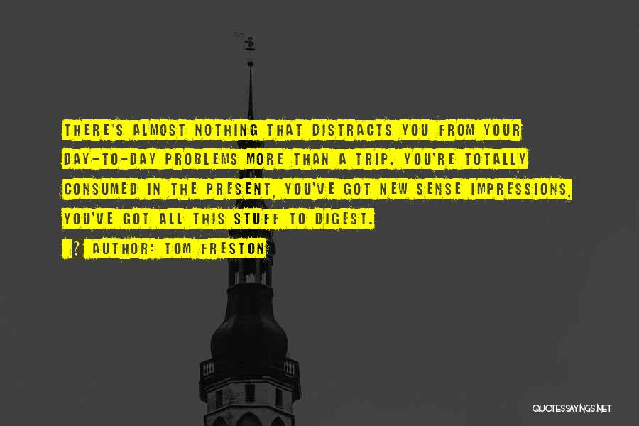 Tom Freston Quotes: There's Almost Nothing That Distracts You From Your Day-to-day Problems More Than A Trip. You're Totally Consumed In The Present,