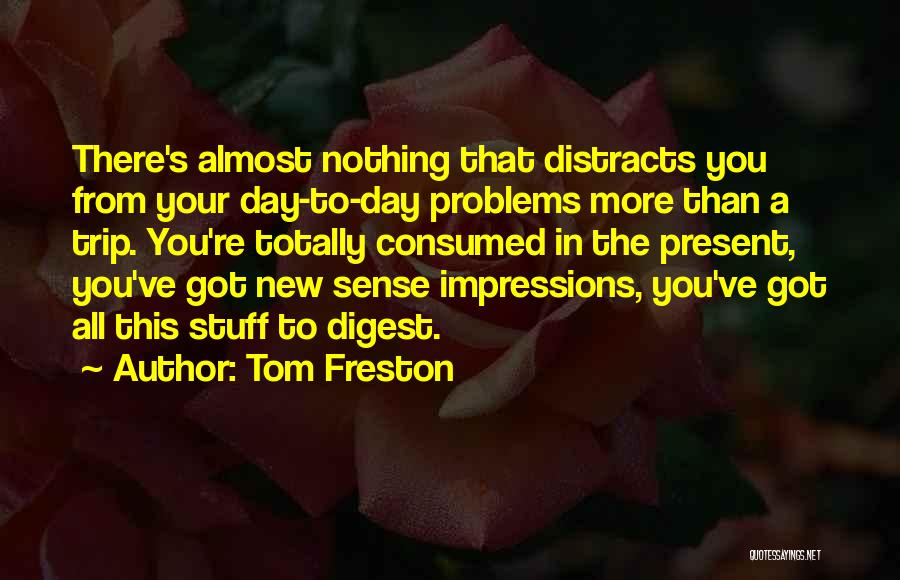 Tom Freston Quotes: There's Almost Nothing That Distracts You From Your Day-to-day Problems More Than A Trip. You're Totally Consumed In The Present,