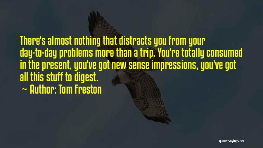 Tom Freston Quotes: There's Almost Nothing That Distracts You From Your Day-to-day Problems More Than A Trip. You're Totally Consumed In The Present,