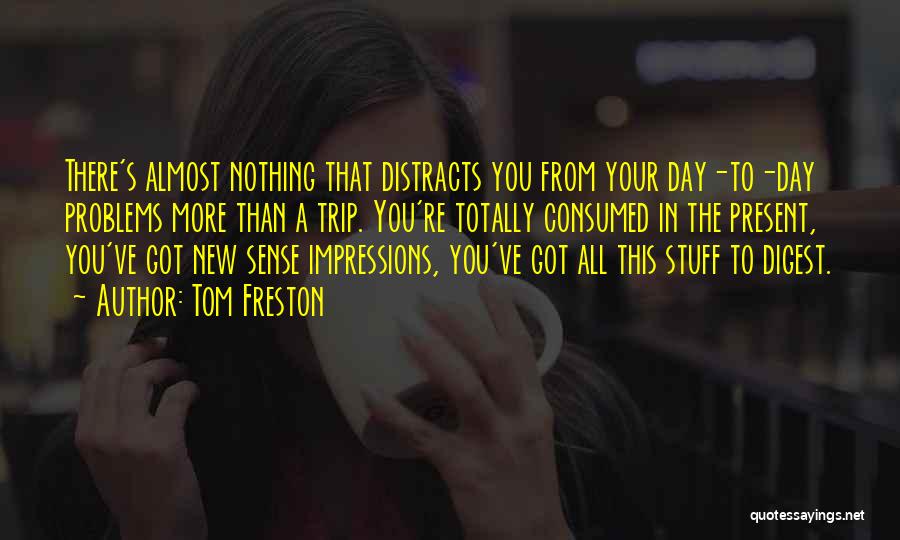 Tom Freston Quotes: There's Almost Nothing That Distracts You From Your Day-to-day Problems More Than A Trip. You're Totally Consumed In The Present,