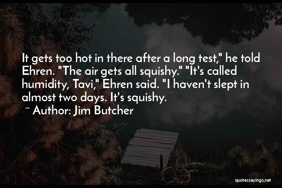 Jim Butcher Quotes: It Gets Too Hot In There After A Long Test, He Told Ehren. The Air Gets All Squishy. It's Called