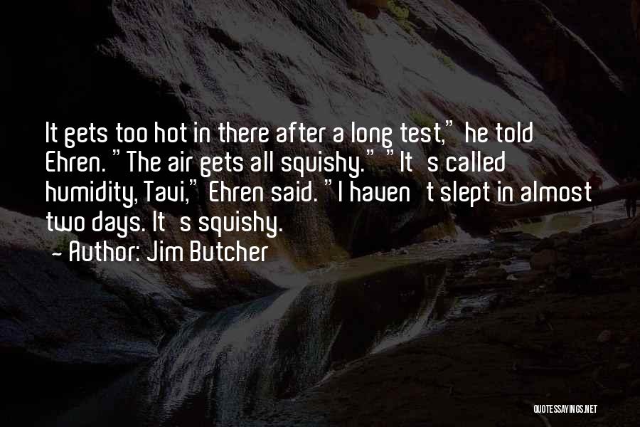 Jim Butcher Quotes: It Gets Too Hot In There After A Long Test, He Told Ehren. The Air Gets All Squishy. It's Called