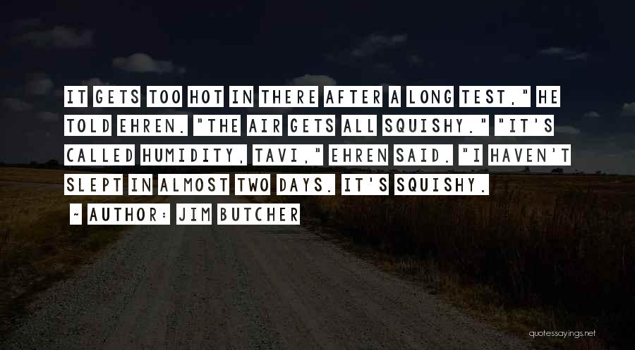 Jim Butcher Quotes: It Gets Too Hot In There After A Long Test, He Told Ehren. The Air Gets All Squishy. It's Called