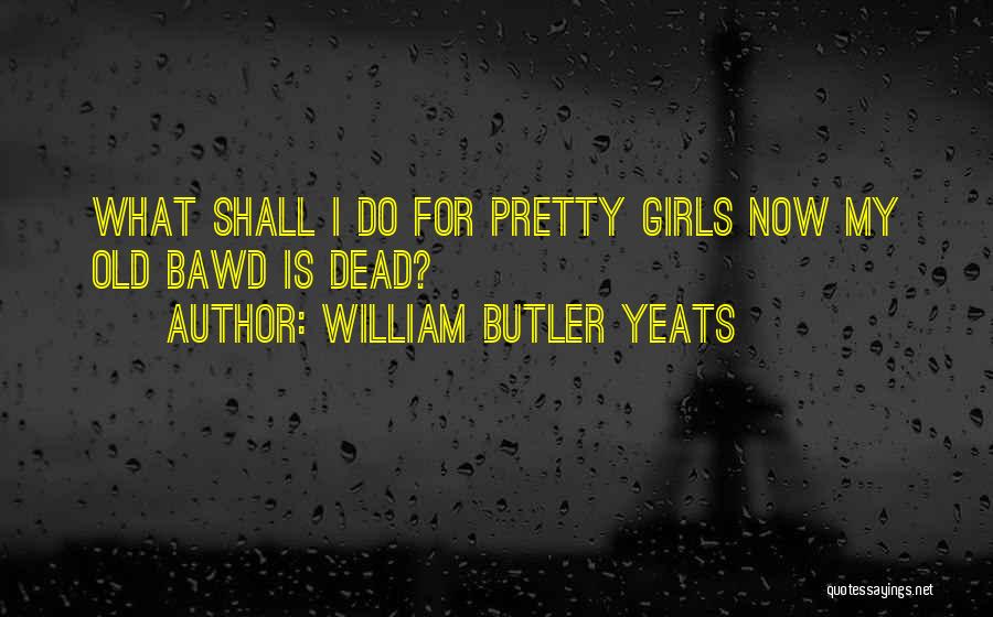 William Butler Yeats Quotes: What Shall I Do For Pretty Girls Now My Old Bawd Is Dead?