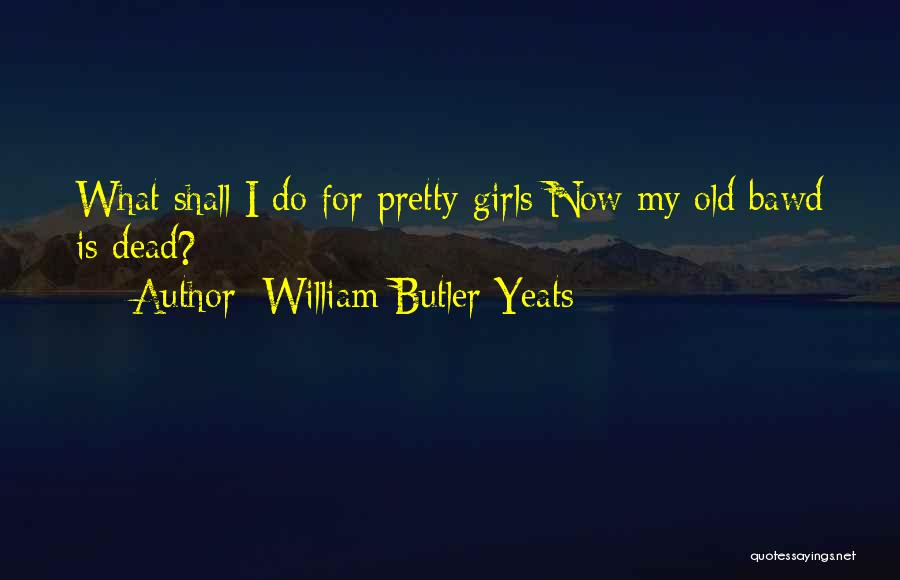 William Butler Yeats Quotes: What Shall I Do For Pretty Girls Now My Old Bawd Is Dead?
