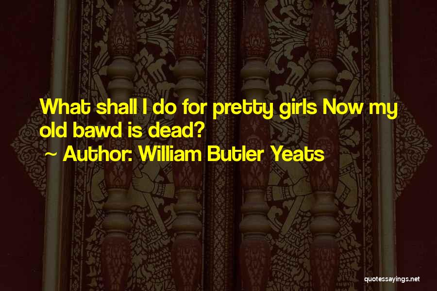 William Butler Yeats Quotes: What Shall I Do For Pretty Girls Now My Old Bawd Is Dead?