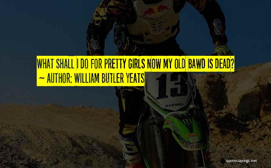 William Butler Yeats Quotes: What Shall I Do For Pretty Girls Now My Old Bawd Is Dead?