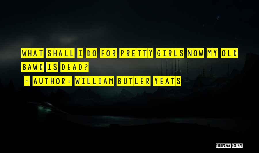 William Butler Yeats Quotes: What Shall I Do For Pretty Girls Now My Old Bawd Is Dead?