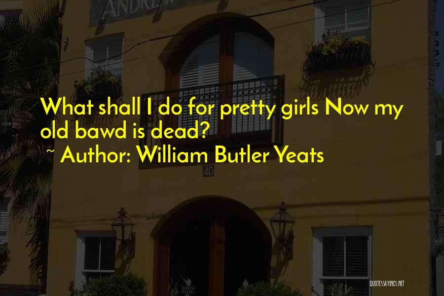 William Butler Yeats Quotes: What Shall I Do For Pretty Girls Now My Old Bawd Is Dead?