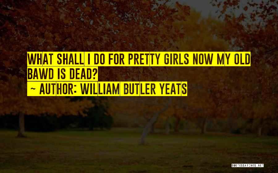 William Butler Yeats Quotes: What Shall I Do For Pretty Girls Now My Old Bawd Is Dead?
