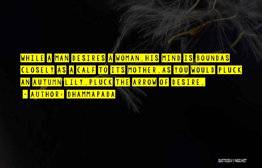 Dhammapada Quotes: While A Man Desires A Woman,his Mind Is Boundas Closely As A Calf To Its Mother.as You Would Pluck An