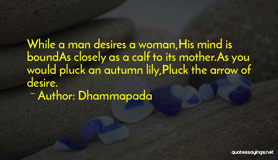 Dhammapada Quotes: While A Man Desires A Woman,his Mind Is Boundas Closely As A Calf To Its Mother.as You Would Pluck An