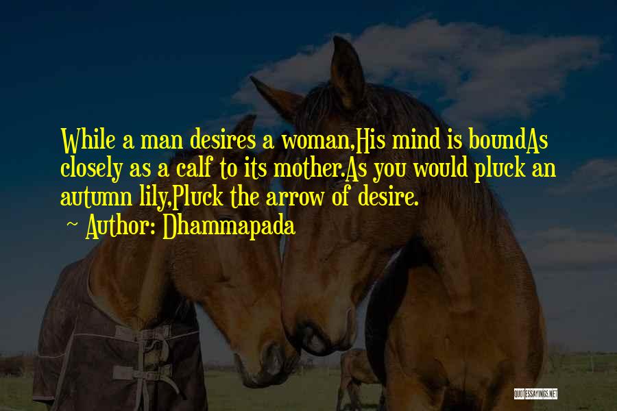 Dhammapada Quotes: While A Man Desires A Woman,his Mind Is Boundas Closely As A Calf To Its Mother.as You Would Pluck An