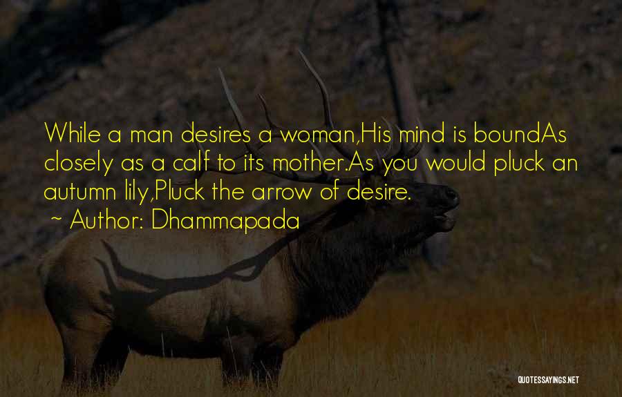 Dhammapada Quotes: While A Man Desires A Woman,his Mind Is Boundas Closely As A Calf To Its Mother.as You Would Pluck An