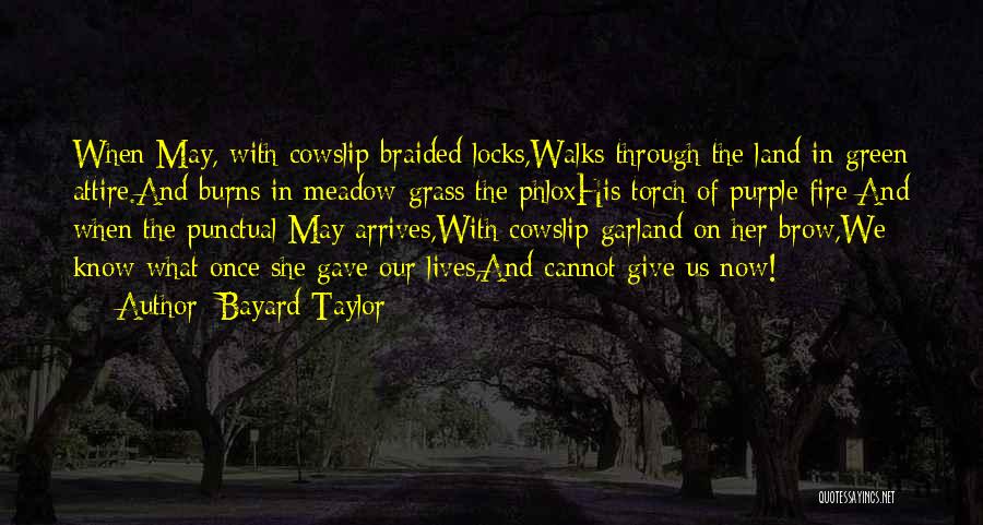 Bayard Taylor Quotes: When May, With Cowslip-braided Locks,walks Through The Land In Green Attire.and Burns In Meadow-grass The Phloxhis Torch Of Purple Fire:and