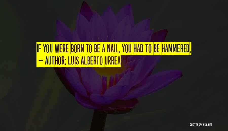 Luis Alberto Urrea Quotes: If You Were Born To Be A Nail, You Had To Be Hammered.