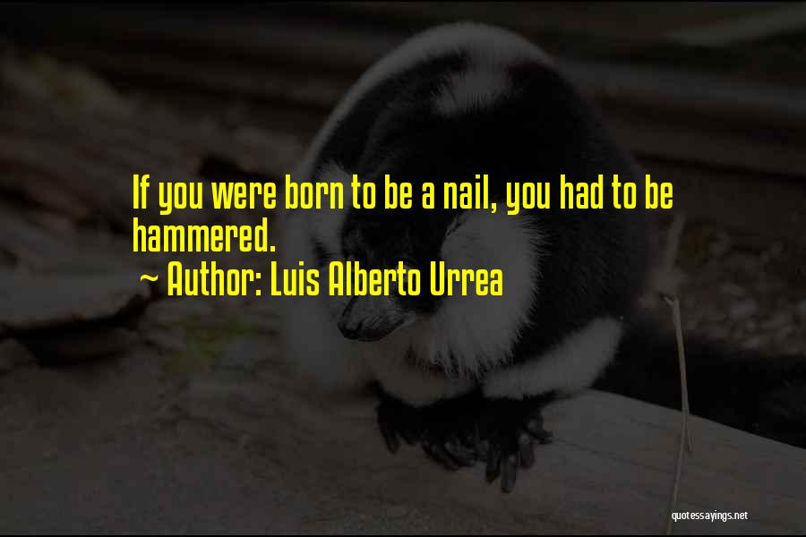 Luis Alberto Urrea Quotes: If You Were Born To Be A Nail, You Had To Be Hammered.