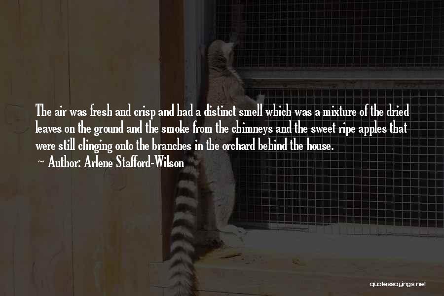 Arlene Stafford-Wilson Quotes: The Air Was Fresh And Crisp And Had A Distinct Smell Which Was A Mixture Of The Dried Leaves On