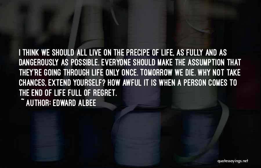 Edward Albee Quotes: I Think We Should All Live On The Precipe Of Life, As Fully And As Dangerously As Possible. Everyone Should