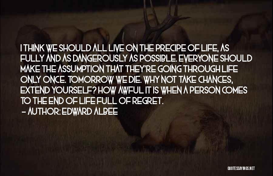 Edward Albee Quotes: I Think We Should All Live On The Precipe Of Life, As Fully And As Dangerously As Possible. Everyone Should