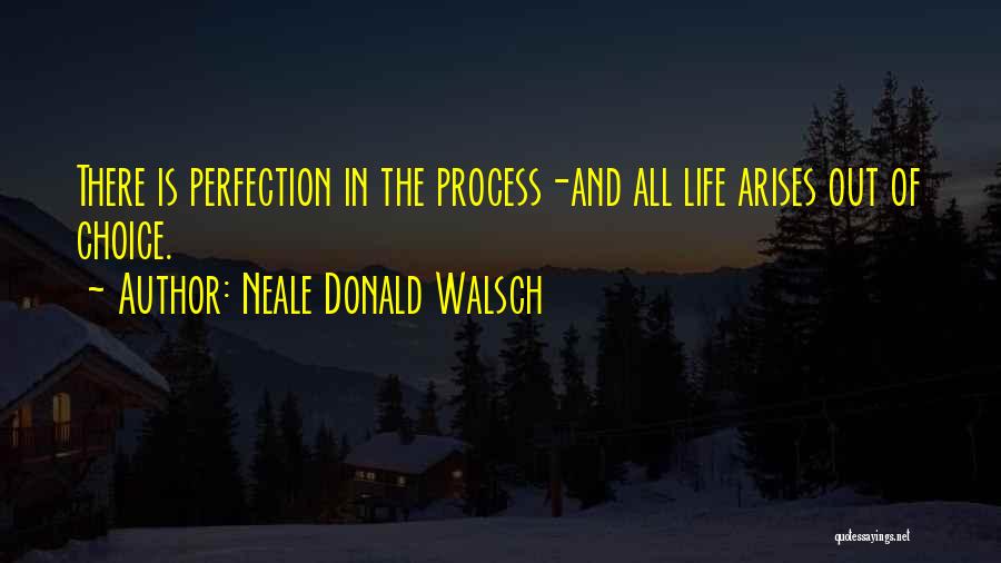 Neale Donald Walsch Quotes: There Is Perfection In The Process-and All Life Arises Out Of Choice.