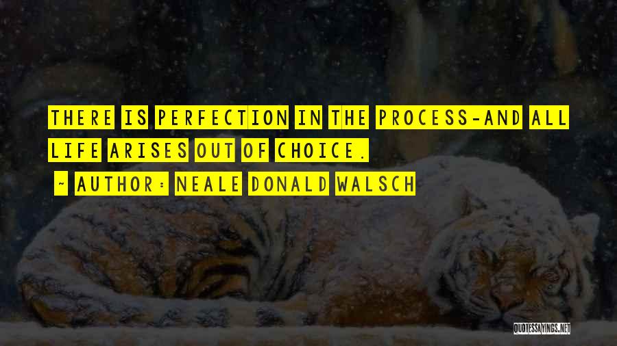 Neale Donald Walsch Quotes: There Is Perfection In The Process-and All Life Arises Out Of Choice.