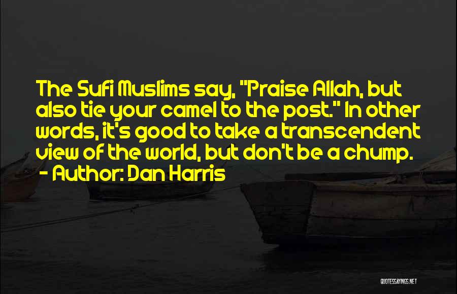 Dan Harris Quotes: The Sufi Muslims Say, Praise Allah, But Also Tie Your Camel To The Post. In Other Words, It's Good To