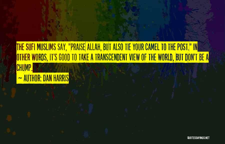 Dan Harris Quotes: The Sufi Muslims Say, Praise Allah, But Also Tie Your Camel To The Post. In Other Words, It's Good To