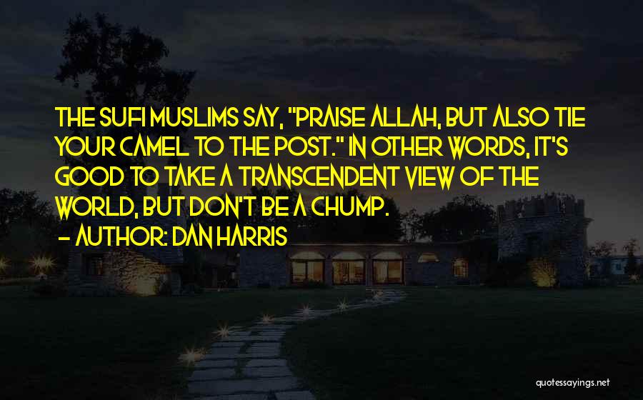 Dan Harris Quotes: The Sufi Muslims Say, Praise Allah, But Also Tie Your Camel To The Post. In Other Words, It's Good To