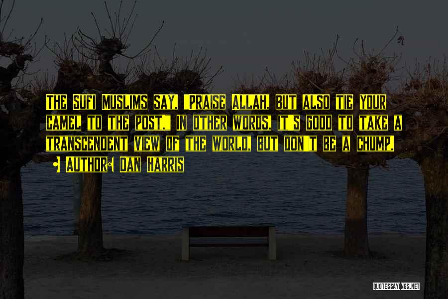 Dan Harris Quotes: The Sufi Muslims Say, Praise Allah, But Also Tie Your Camel To The Post. In Other Words, It's Good To