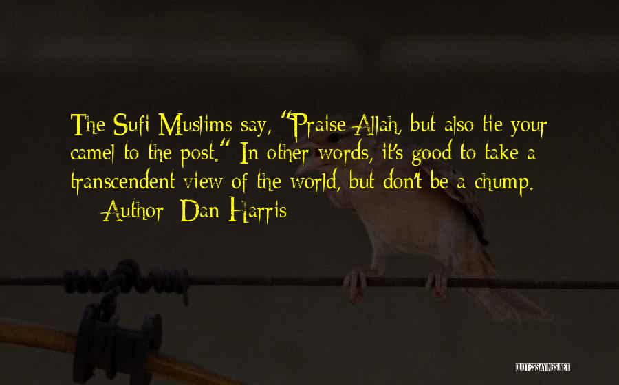 Dan Harris Quotes: The Sufi Muslims Say, Praise Allah, But Also Tie Your Camel To The Post. In Other Words, It's Good To