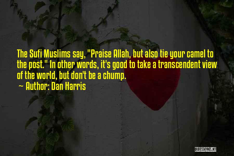 Dan Harris Quotes: The Sufi Muslims Say, Praise Allah, But Also Tie Your Camel To The Post. In Other Words, It's Good To