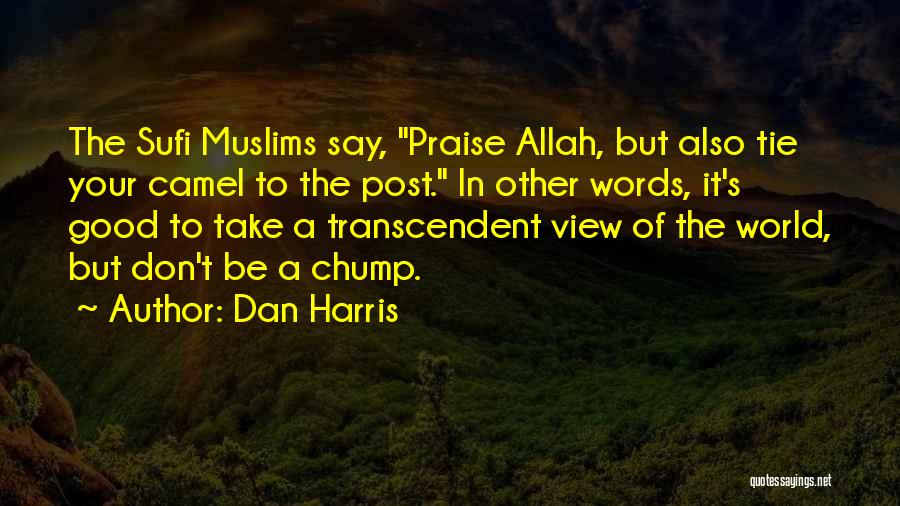 Dan Harris Quotes: The Sufi Muslims Say, Praise Allah, But Also Tie Your Camel To The Post. In Other Words, It's Good To