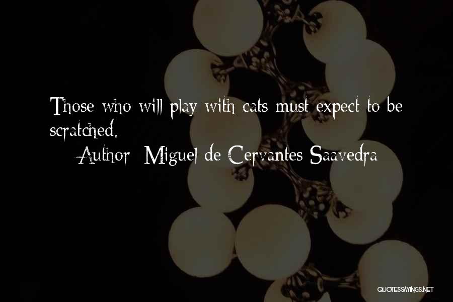 Miguel De Cervantes Saavedra Quotes: Those Who Will Play With Cats Must Expect To Be Scratched.