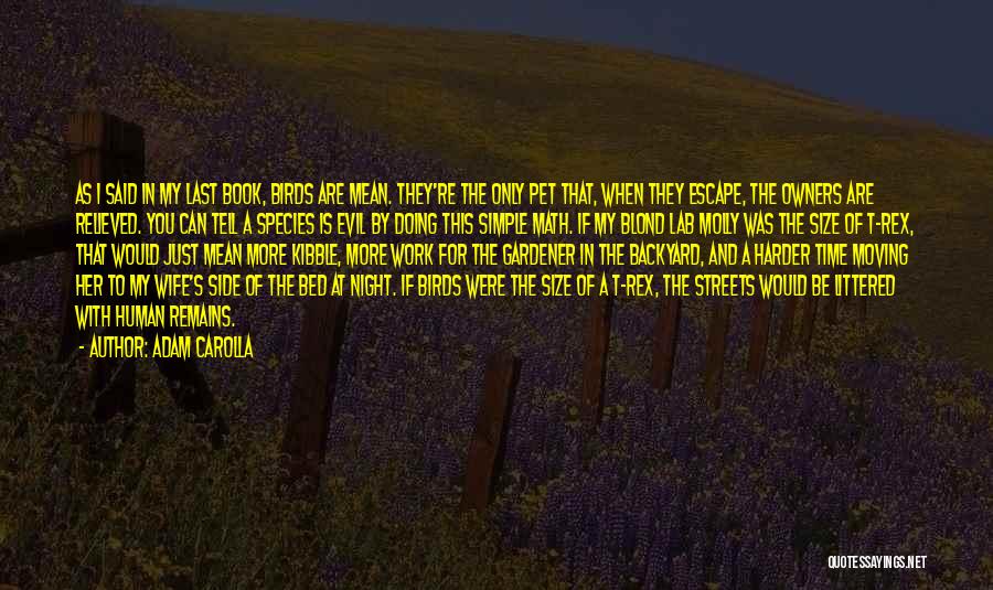 Adam Carolla Quotes: As I Said In My Last Book, Birds Are Mean. They're The Only Pet That, When They Escape, The Owners