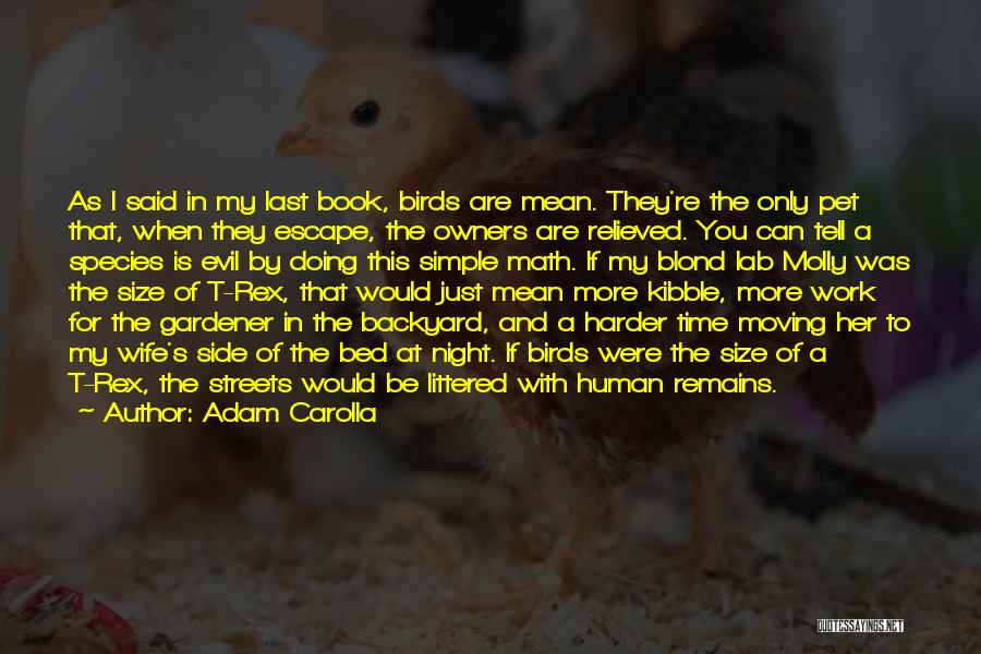 Adam Carolla Quotes: As I Said In My Last Book, Birds Are Mean. They're The Only Pet That, When They Escape, The Owners