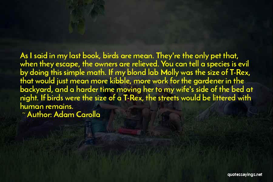 Adam Carolla Quotes: As I Said In My Last Book, Birds Are Mean. They're The Only Pet That, When They Escape, The Owners